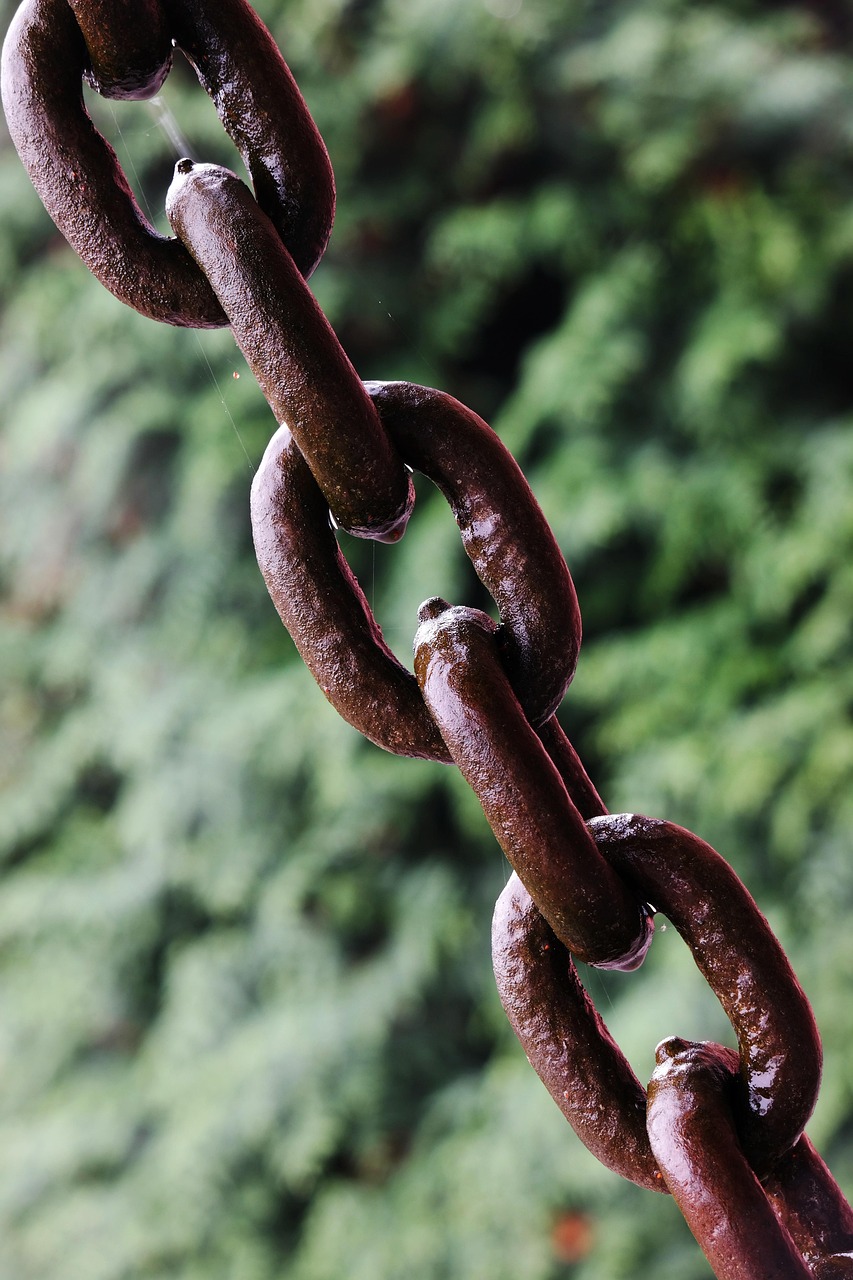 Risk Management in Food Supply Chains  