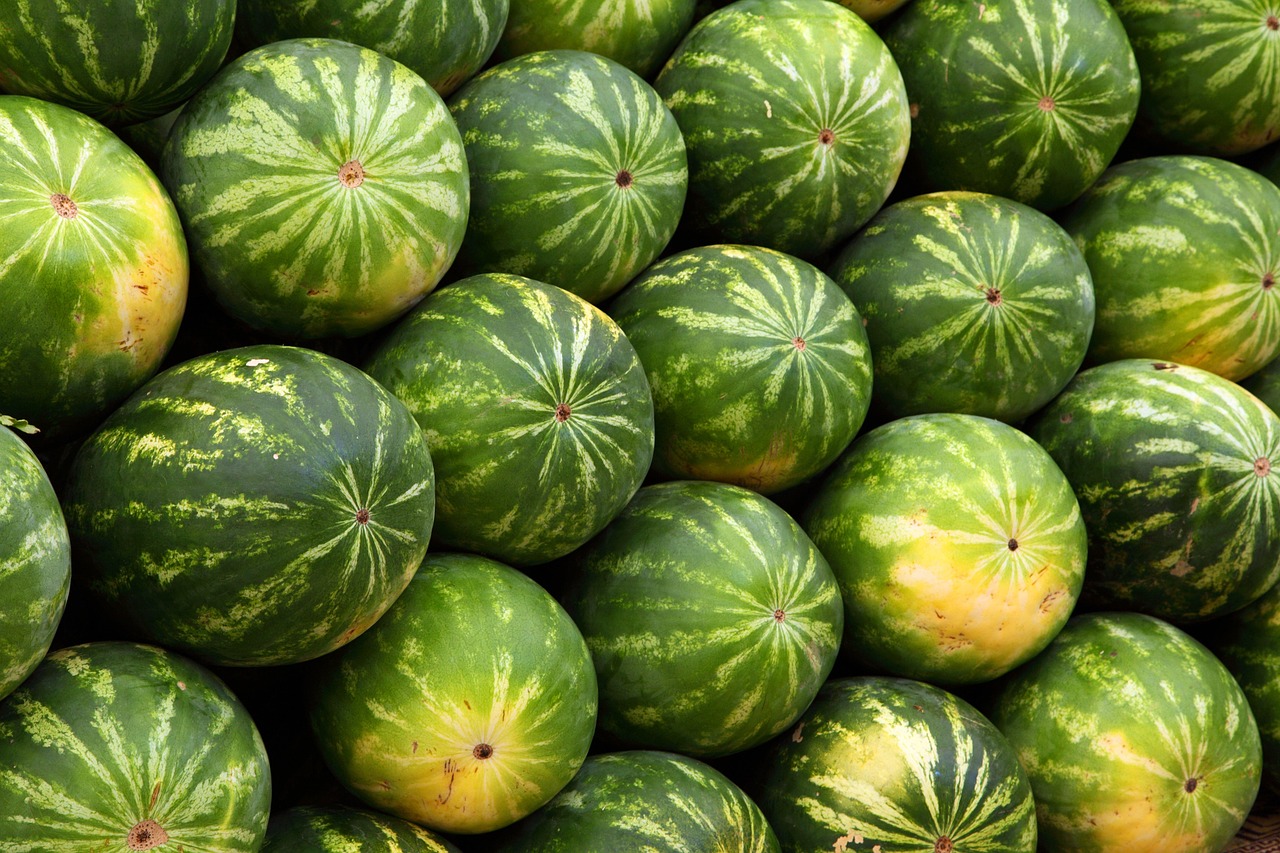 Market Trends and Consumer Behavior in Food Supply Chains