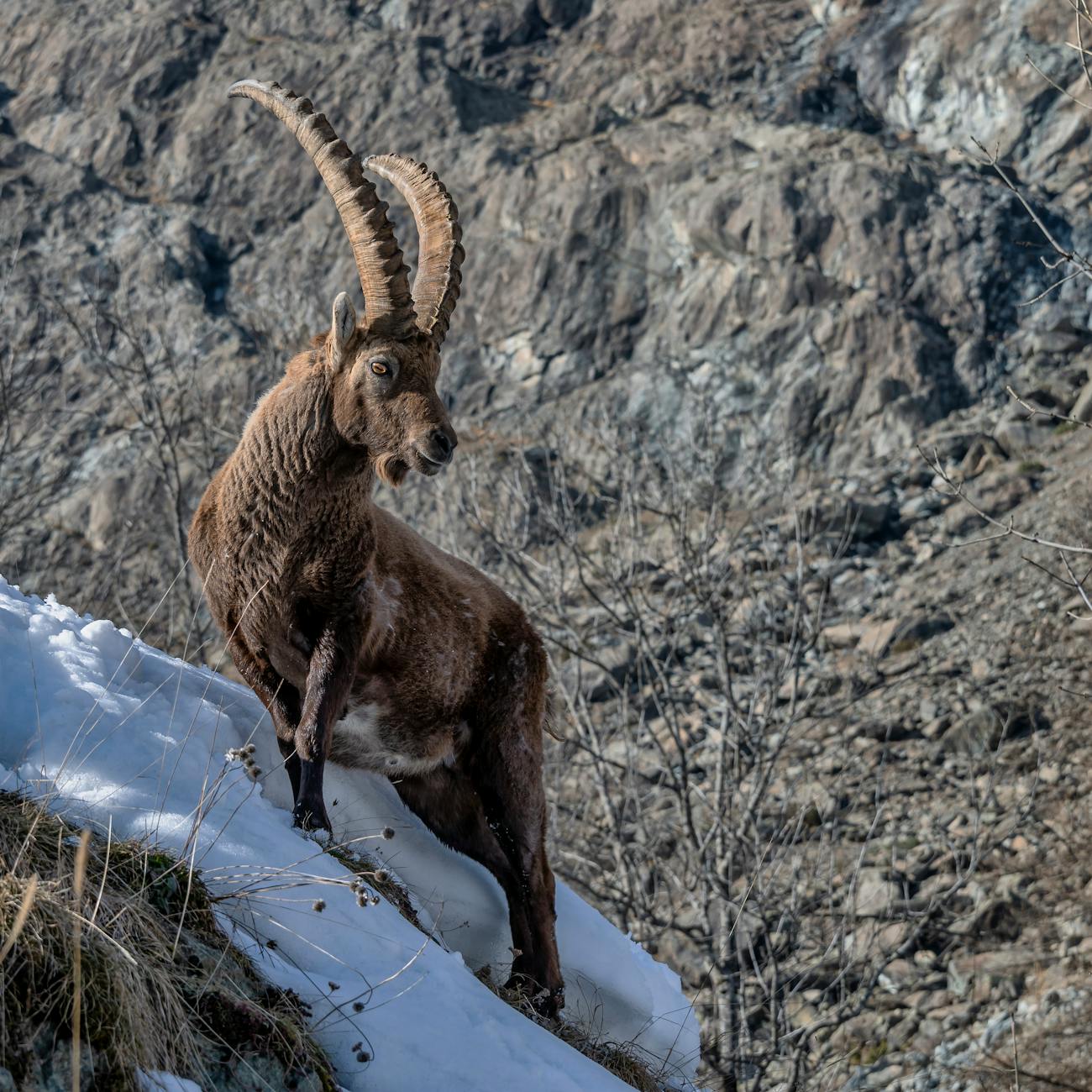 Ecotourism Trends and Opportunities