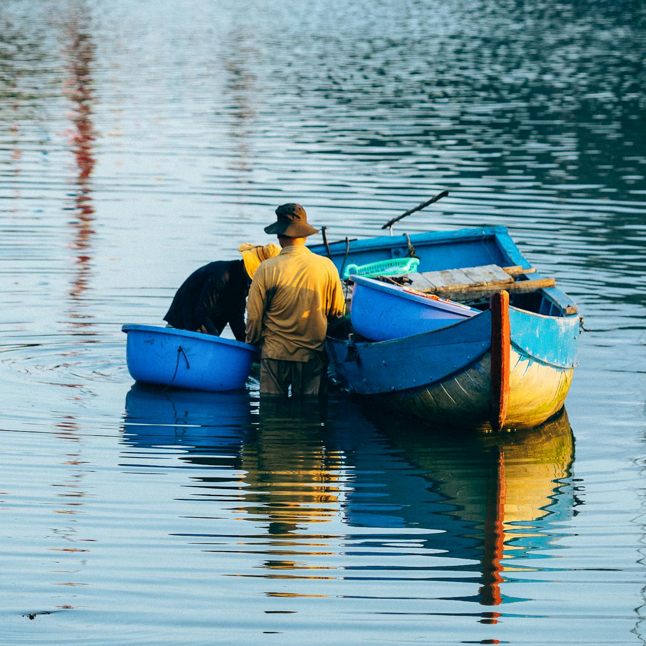 Mussel Harvesting and Processing