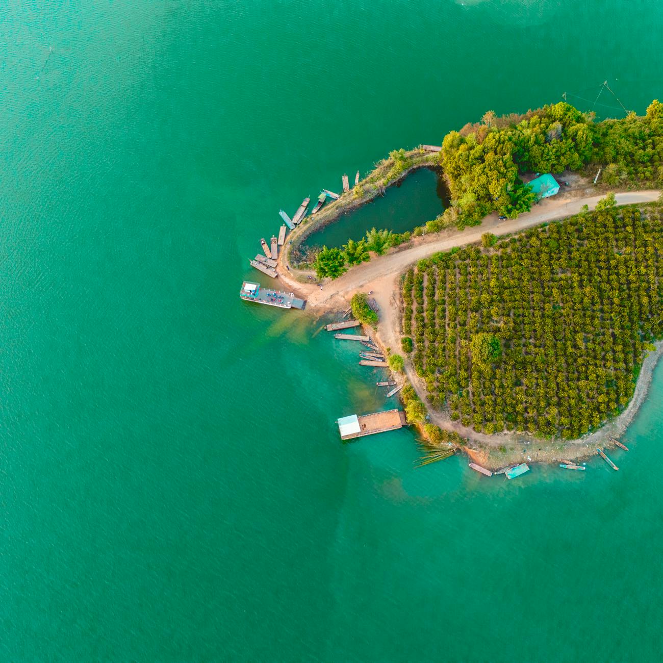 Mussel Farm Management