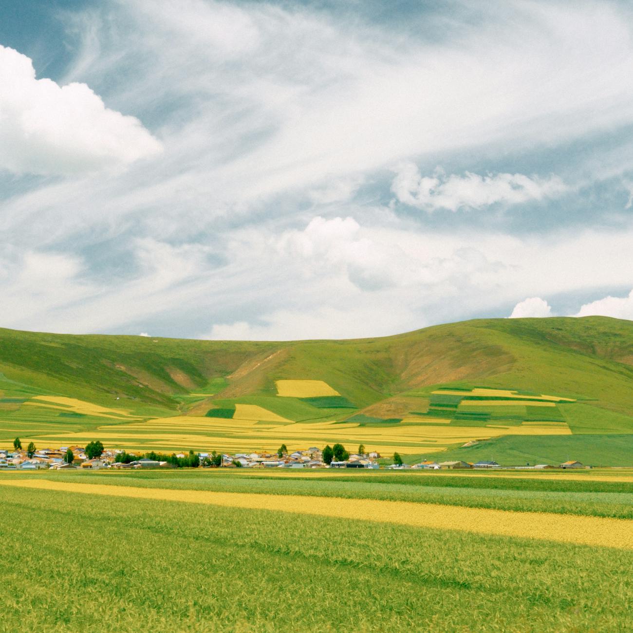 Community-Based Ecological Restoration