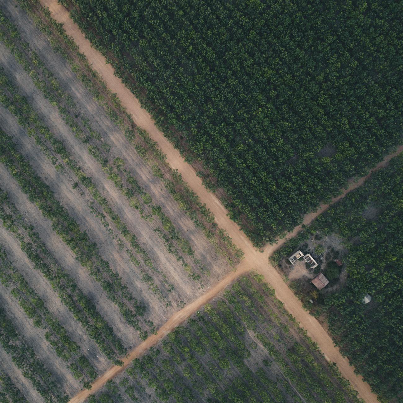 Internet of Things (IoT) Applications in Agriculture