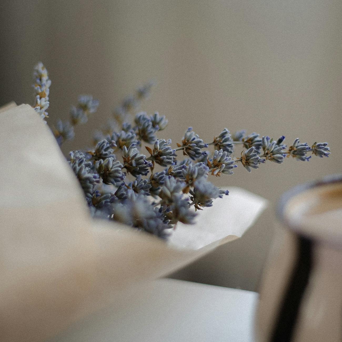Herbal Medicine and Aromatherapy