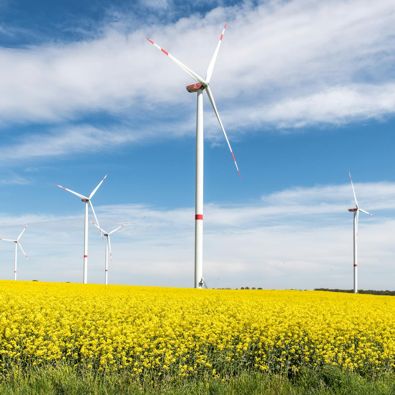 Solar Project Management.