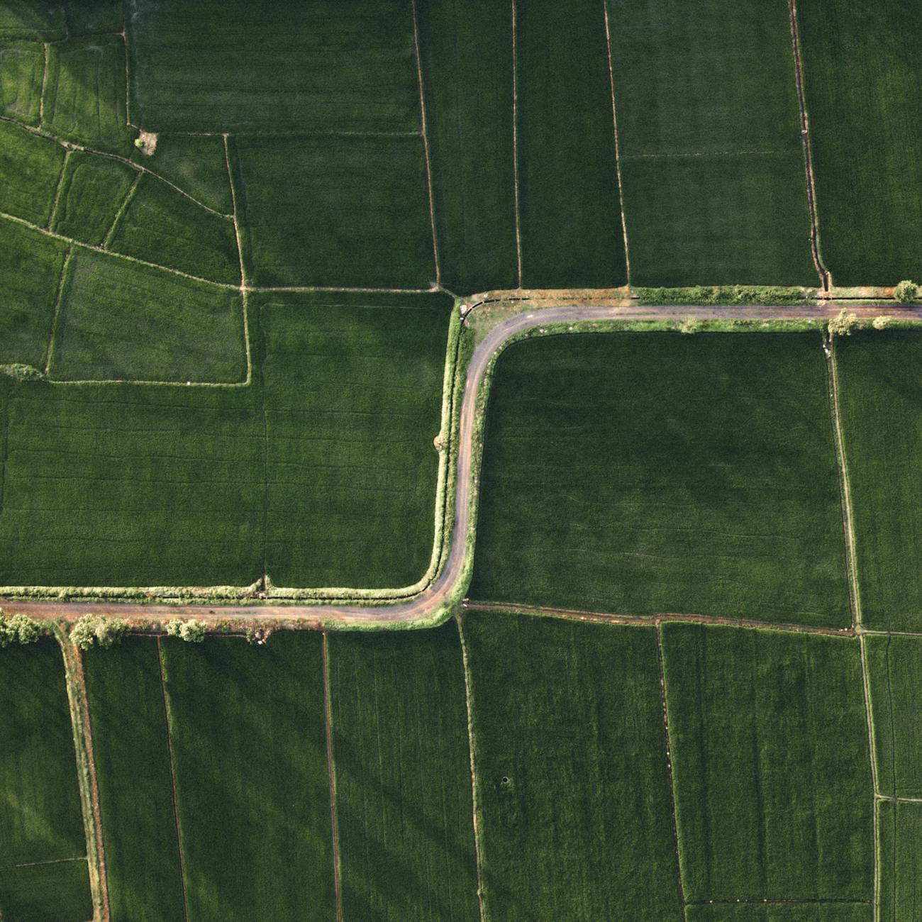 Machine Learning for Agri-Robotics