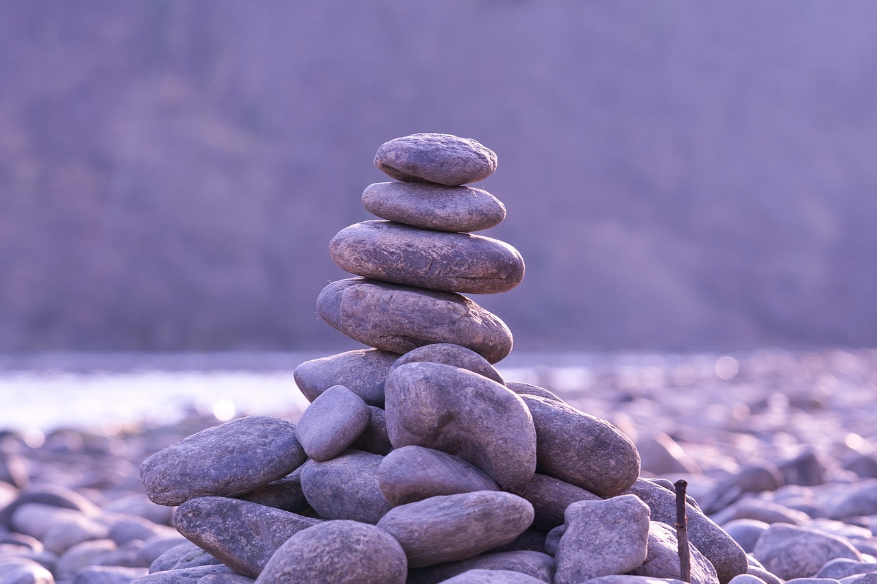 Fertility Nutrition