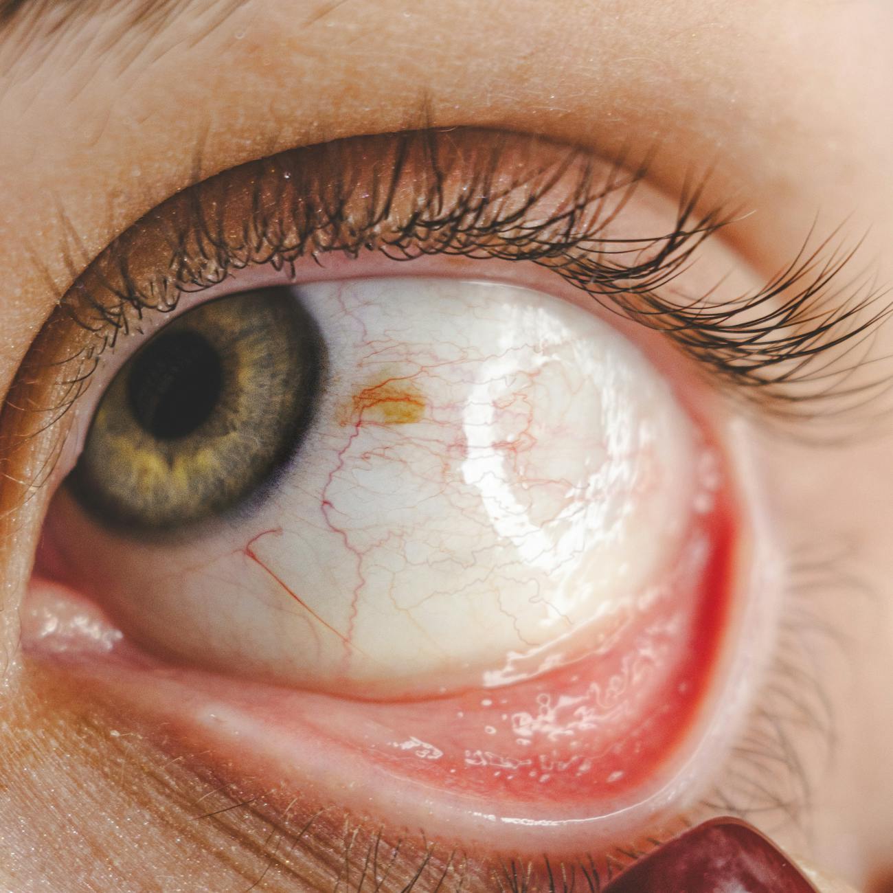 Eye Tracking for Evaluating Multimedia Learning.