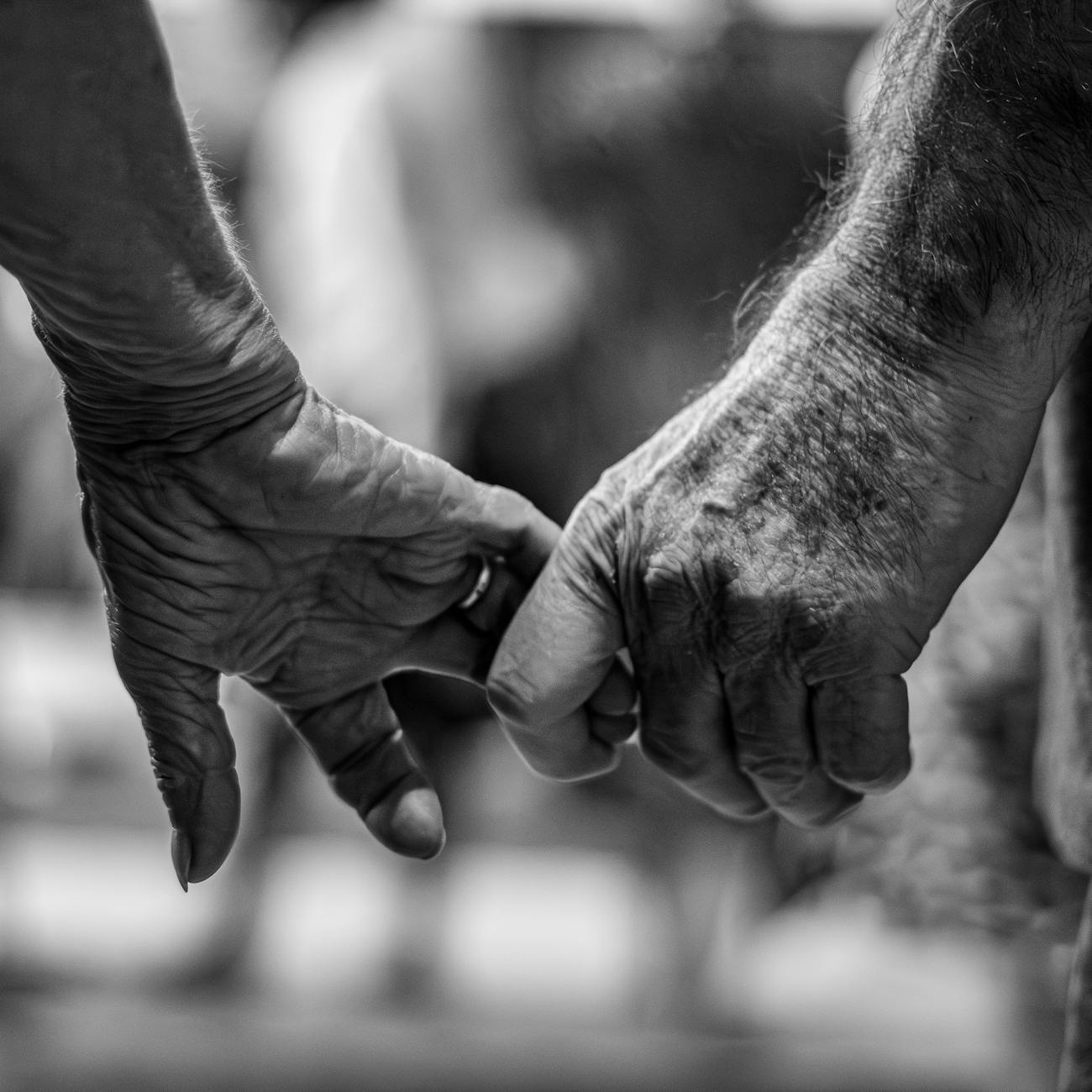 Patient Engagement and AI in Palliative Care