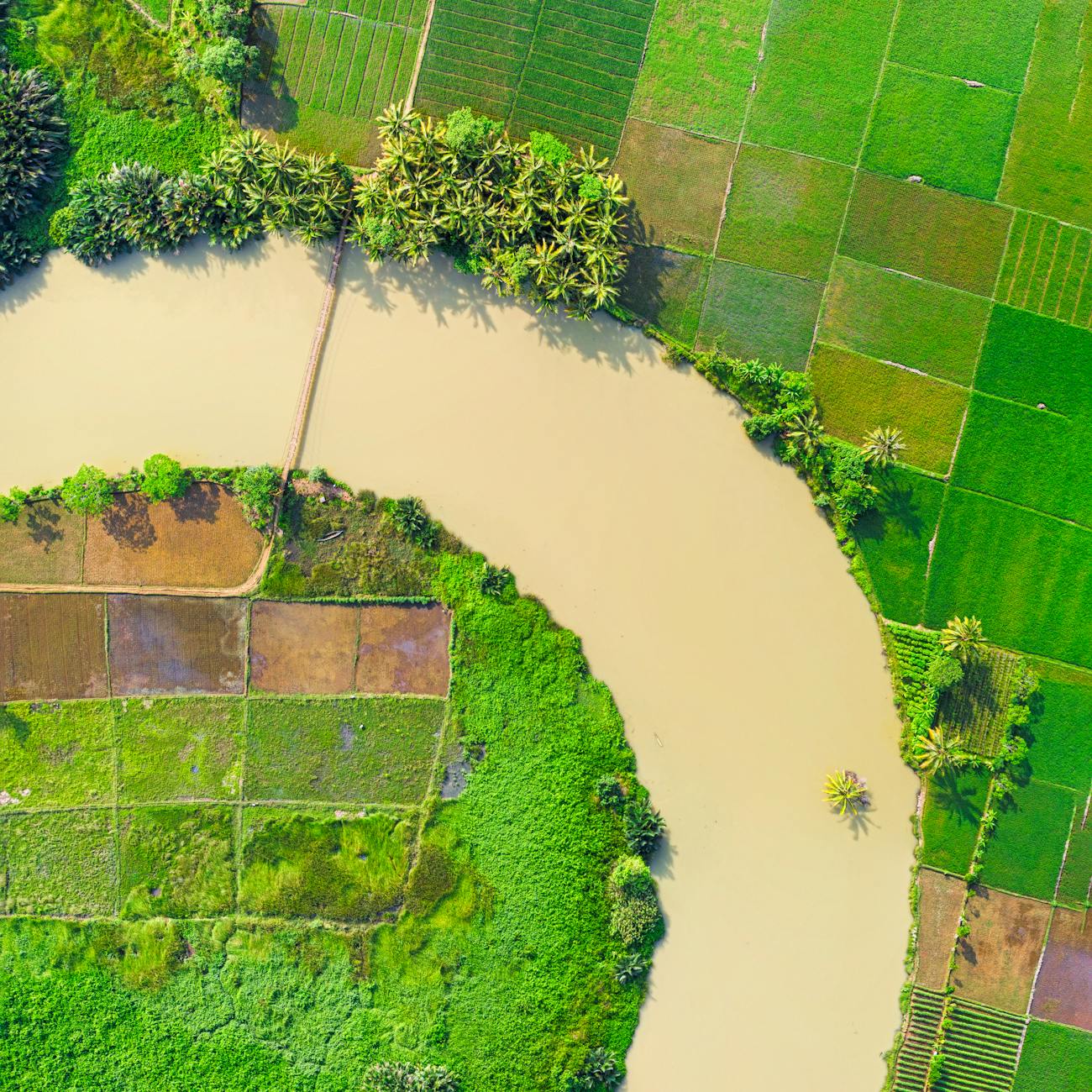 Disaster Risk Reduction Principles