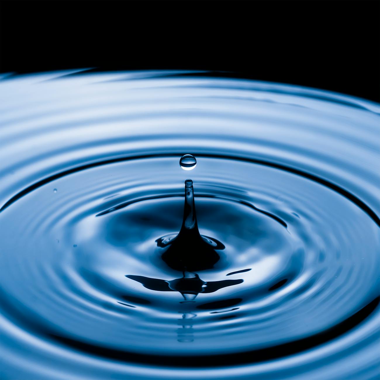 Liquidity Risk Management
