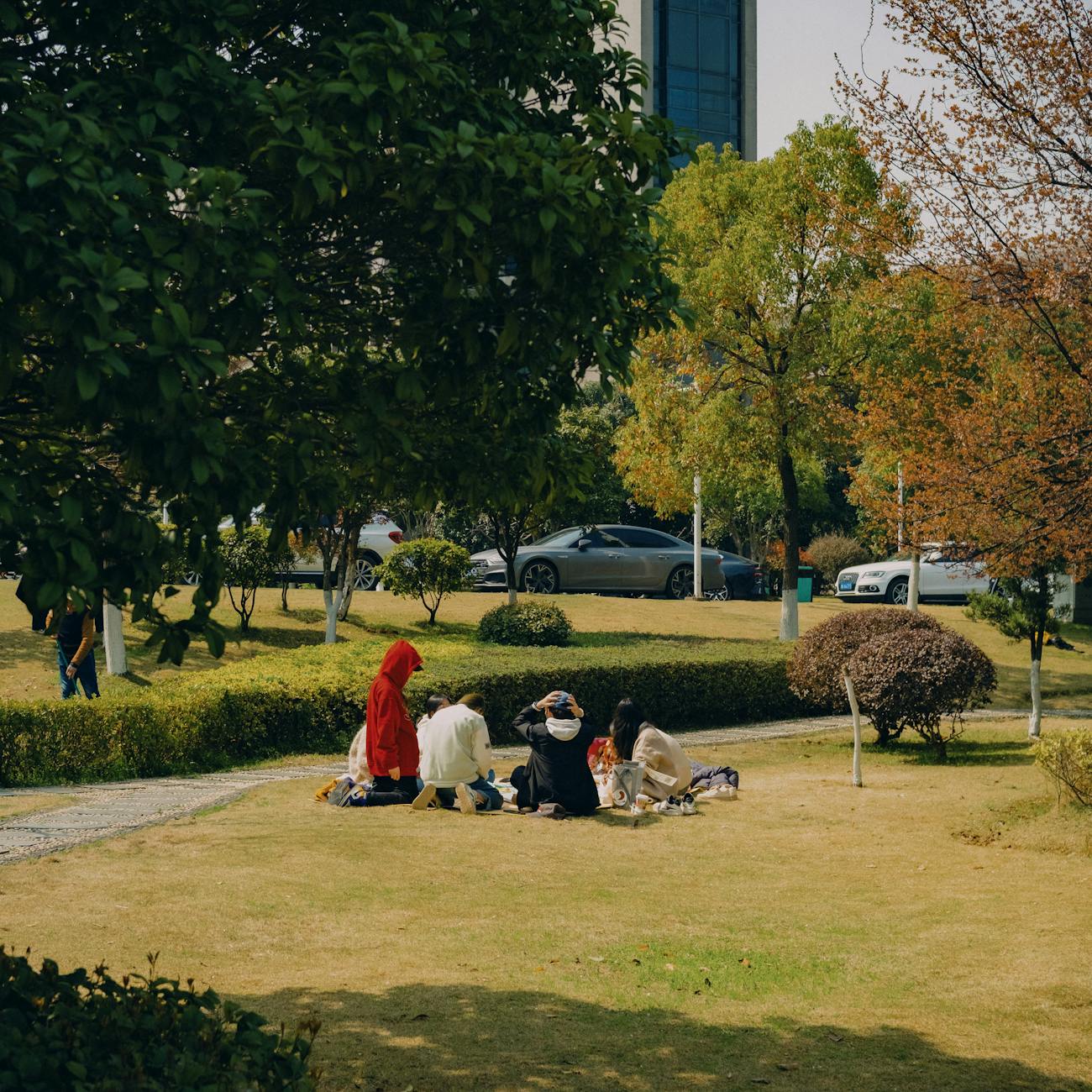 Group Dynamics and Facilitation