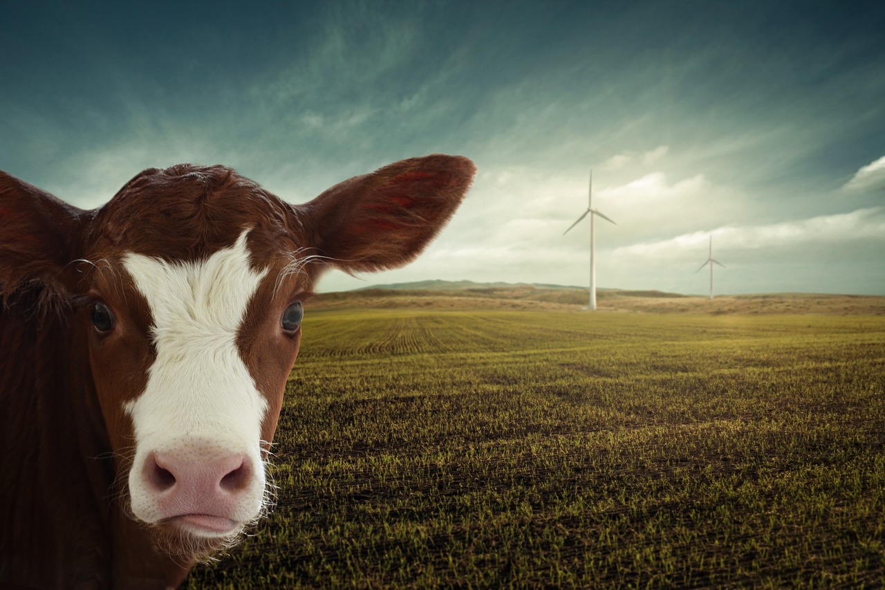 Climate Change and Energy Diplomacy