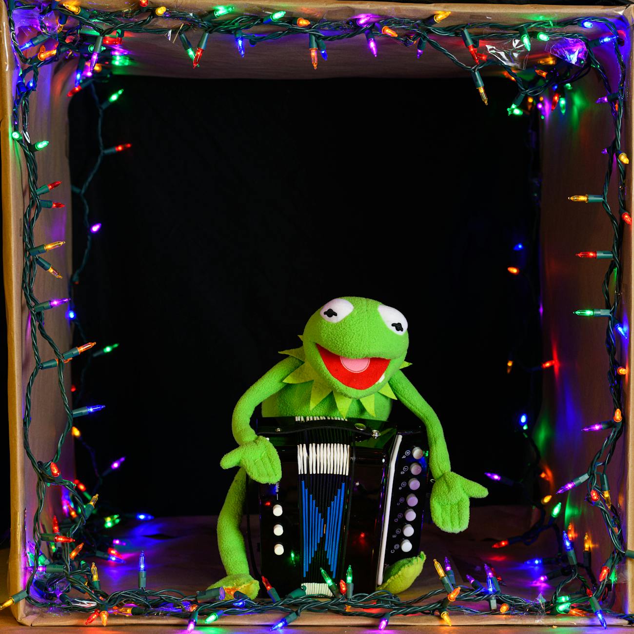 Assessment and Evaluation in Special Needs Music Education