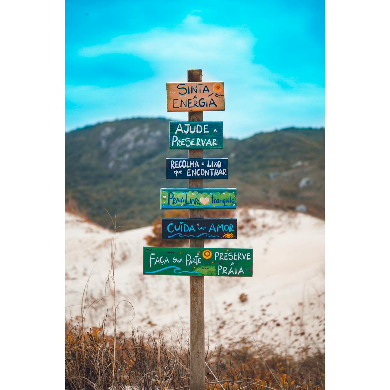 Environmental Awareness and Ethics