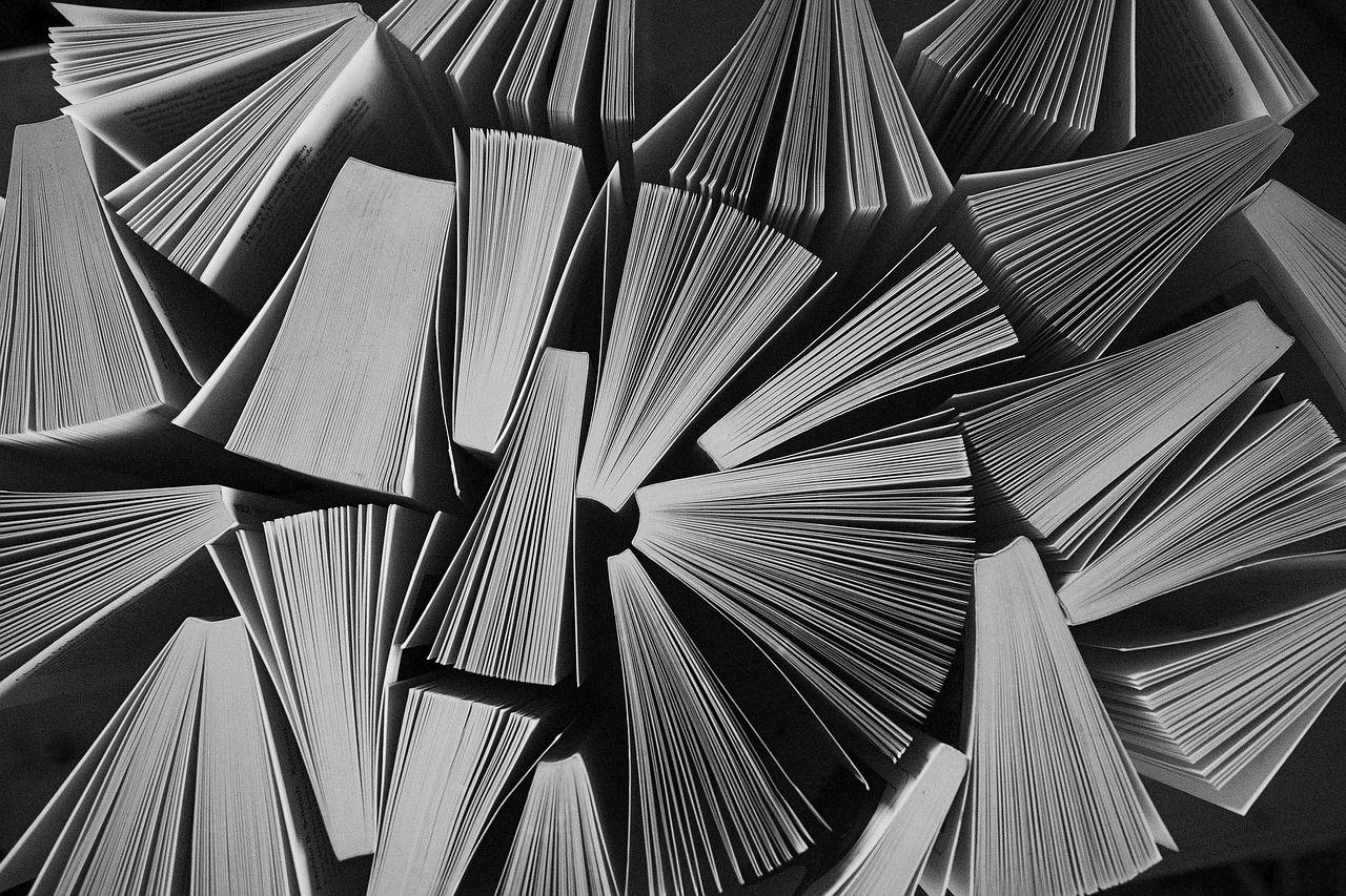 Literature Studies in IB English