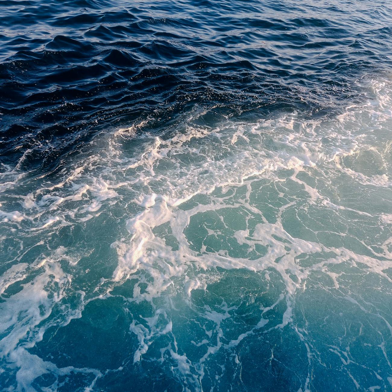 Legal and Ethical Issues in Ocean Therapy