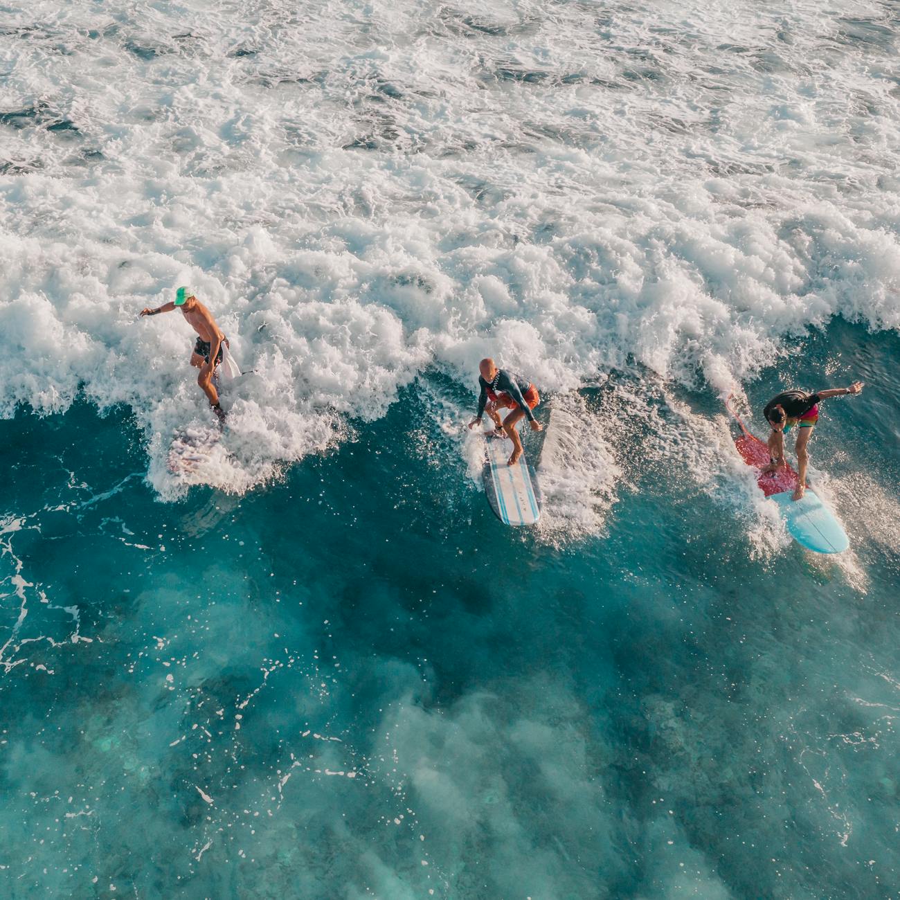 Professionalism in Ocean Therapy