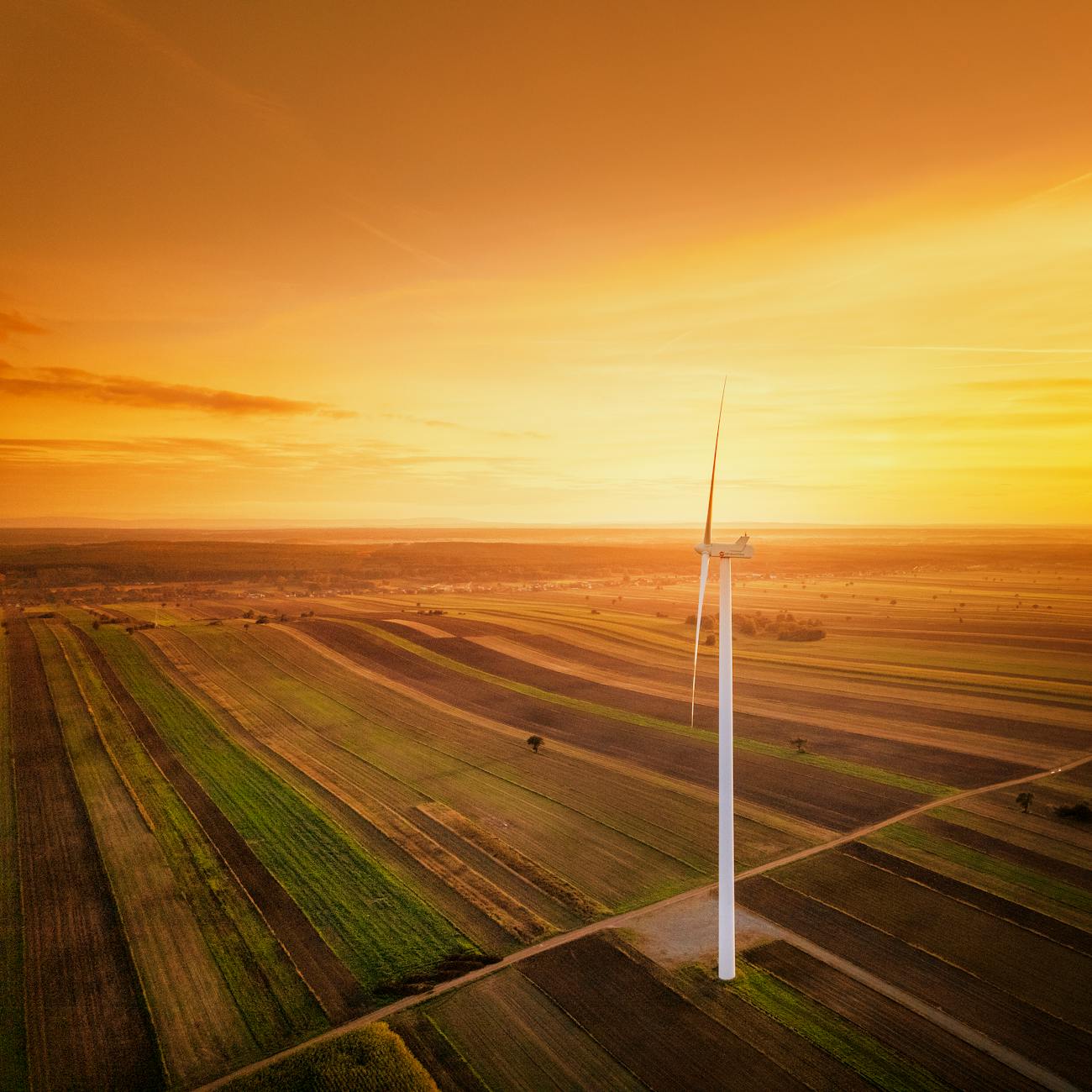 Offshore Wind Farm Design and Layout