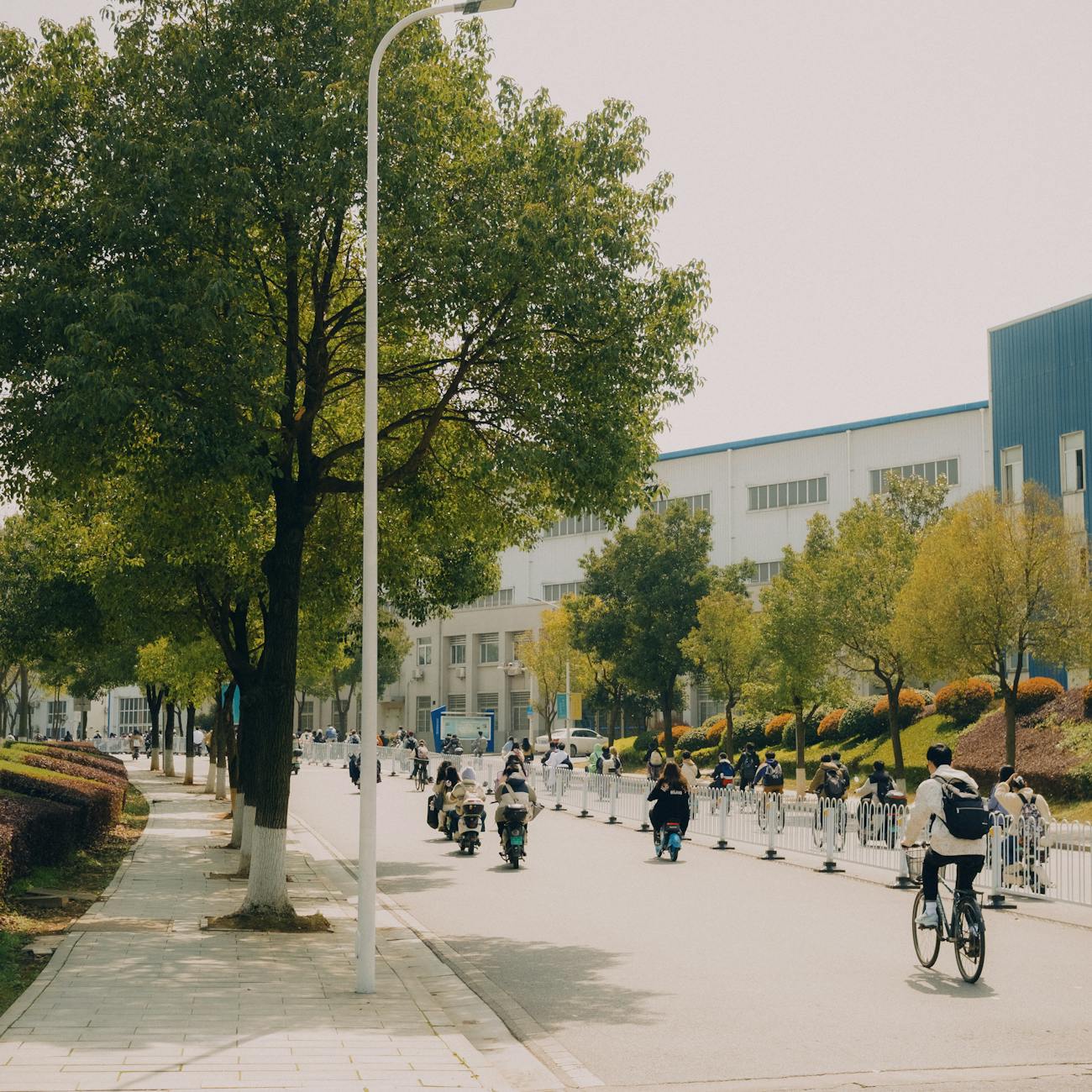 Carbon Footprint Reduction Strategies