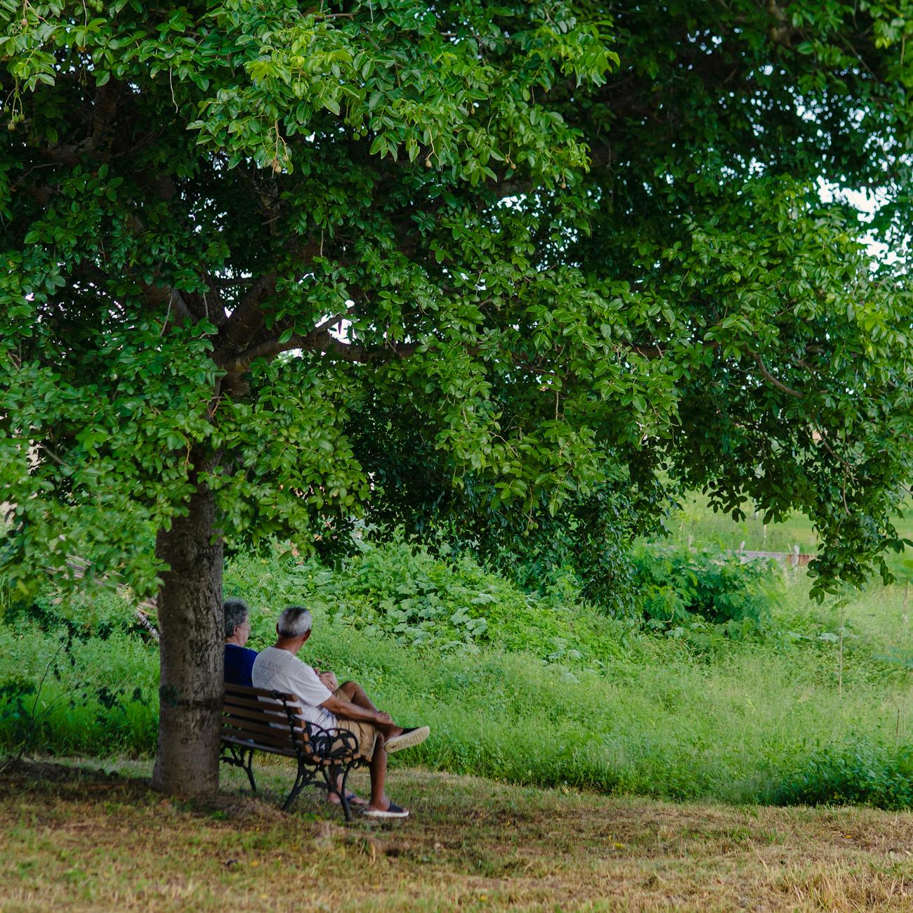 Annuity Estate Planning
