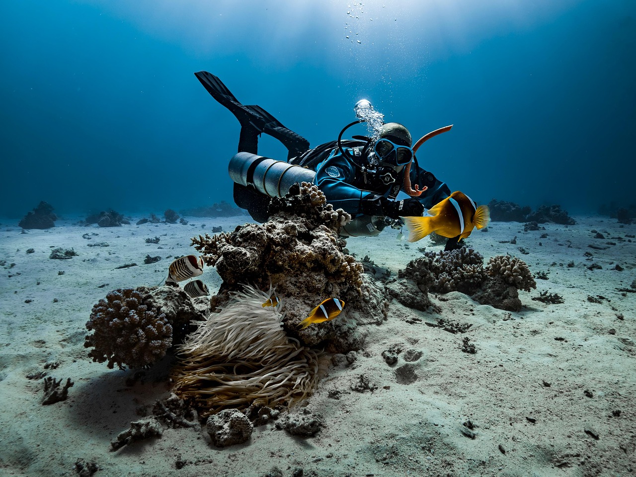 Underwater Explosives and Marine Applications
