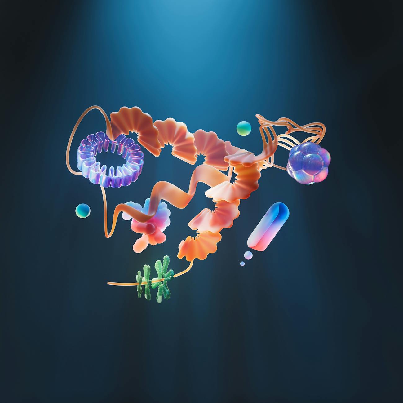 Biofabrication Ethics and Regulations