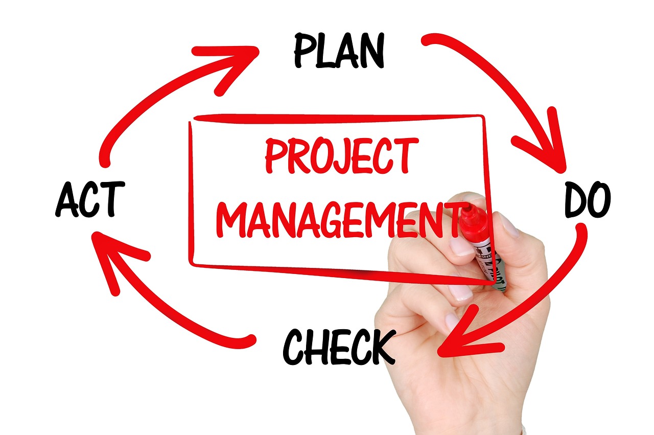 Business Process Management Strategy and Governance