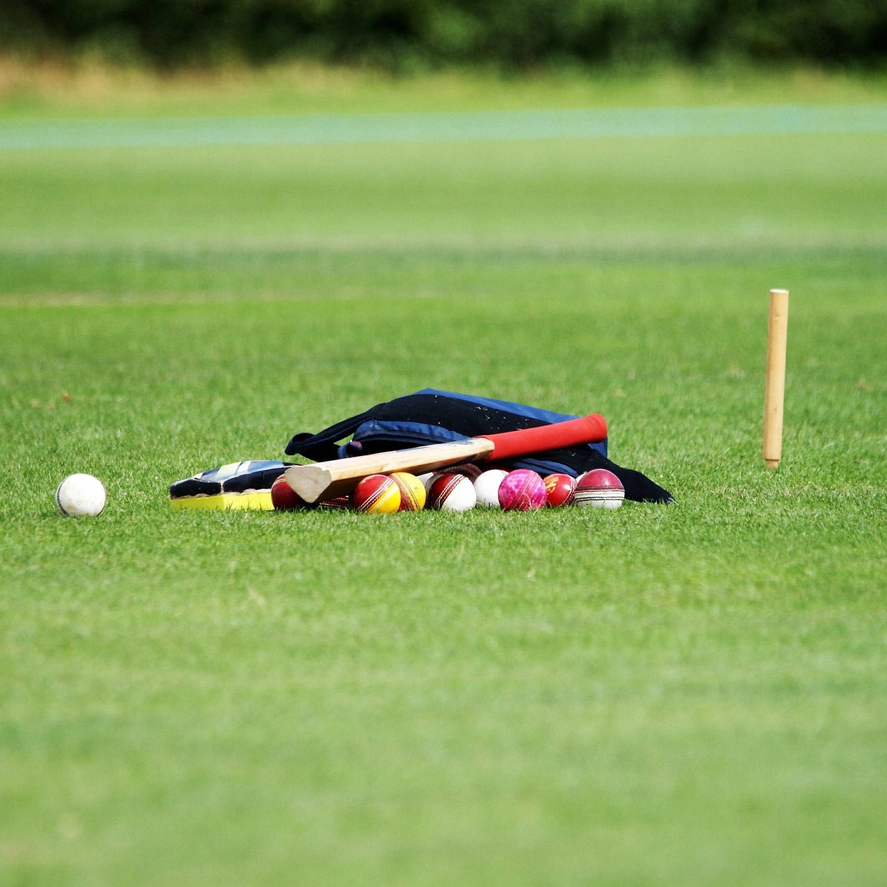 Cricket Coaching And Development