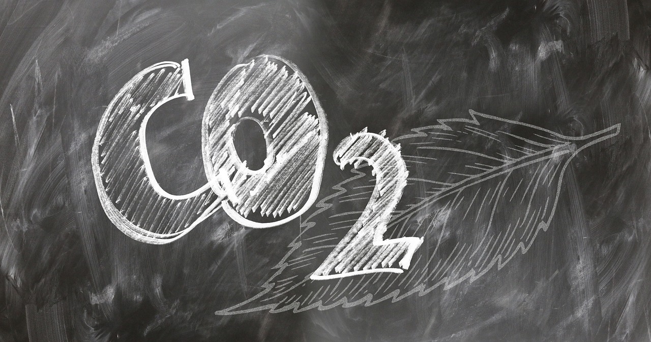 Carbon Footprint Reduction Strategies