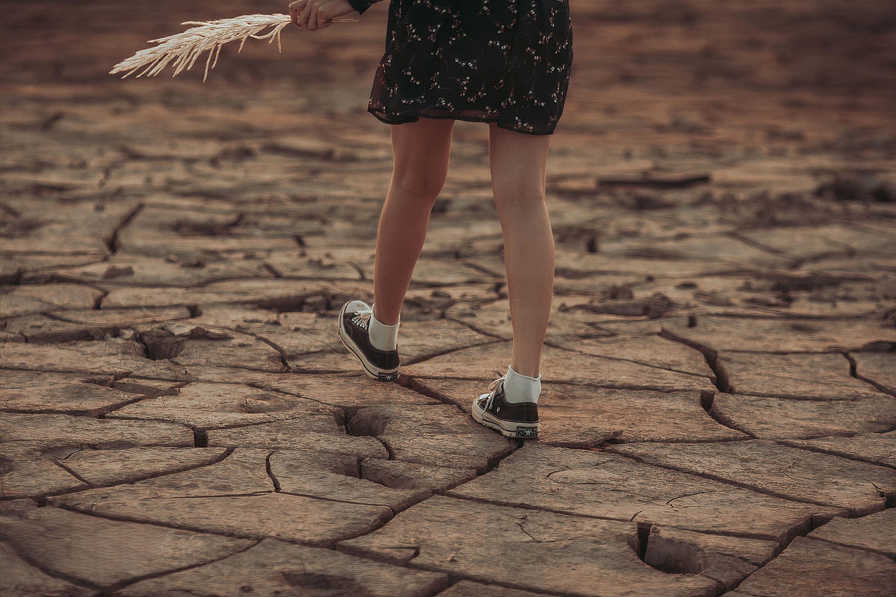 Resilience Planning for Climate Change