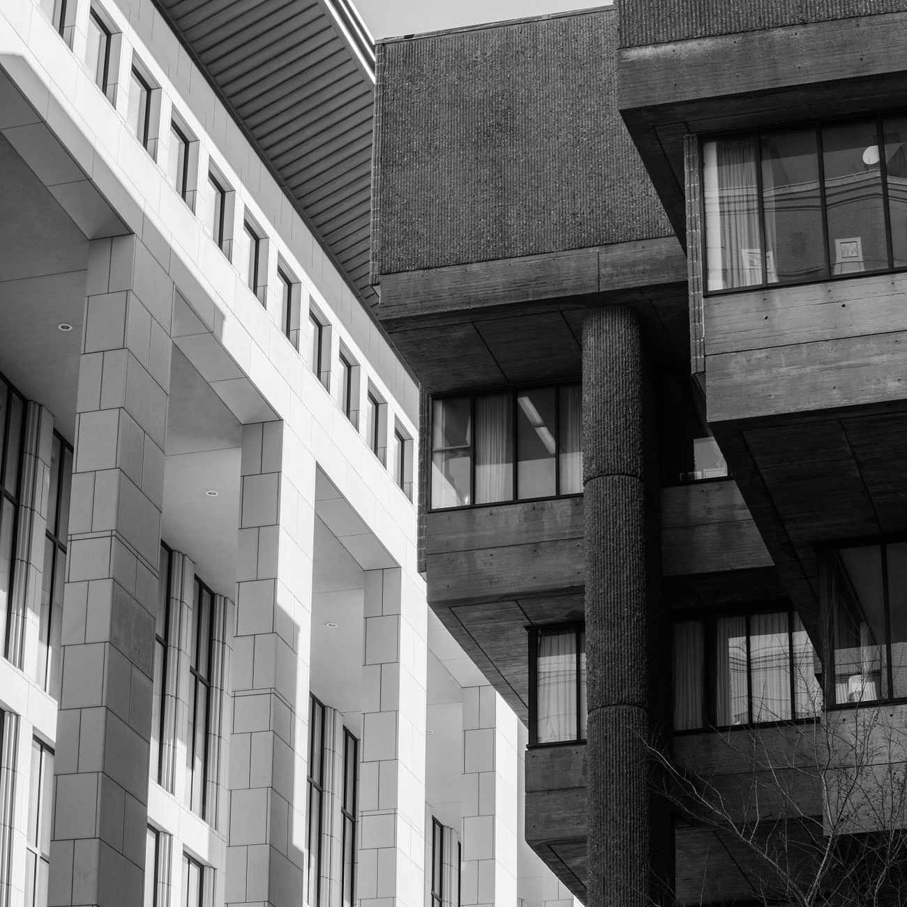 Law and Society in the Twentieth Century
