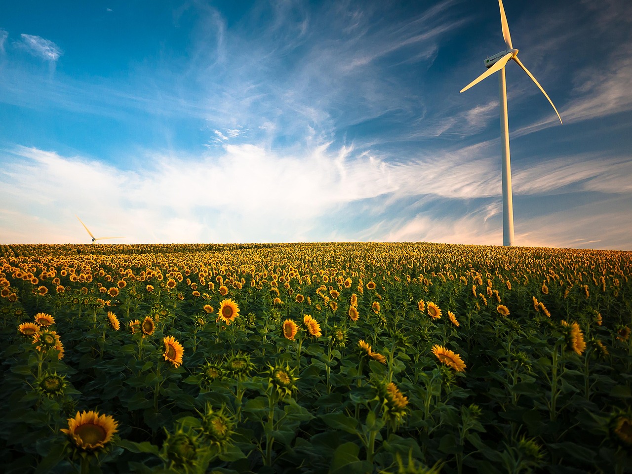 Financing and Tax Incentives for Wind Energy