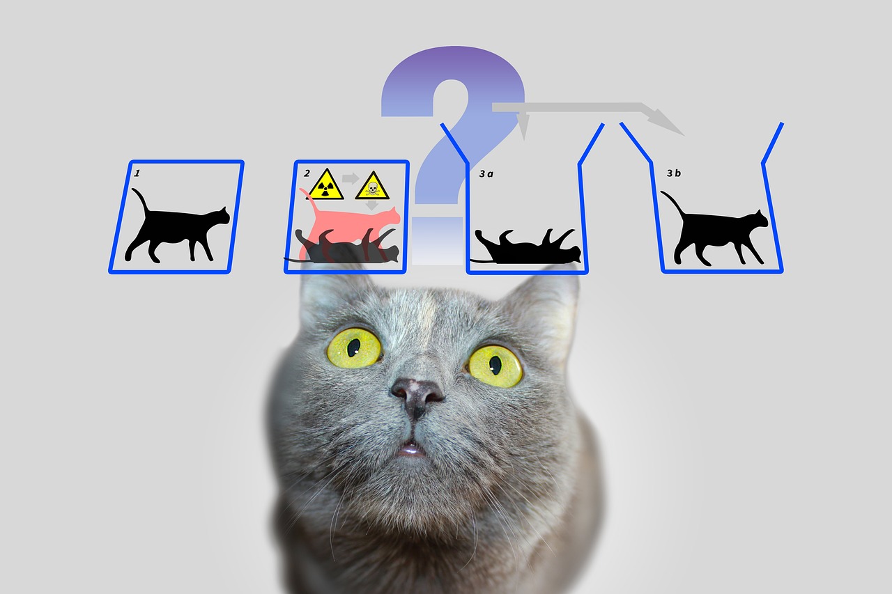Quantum Optics and Photonics