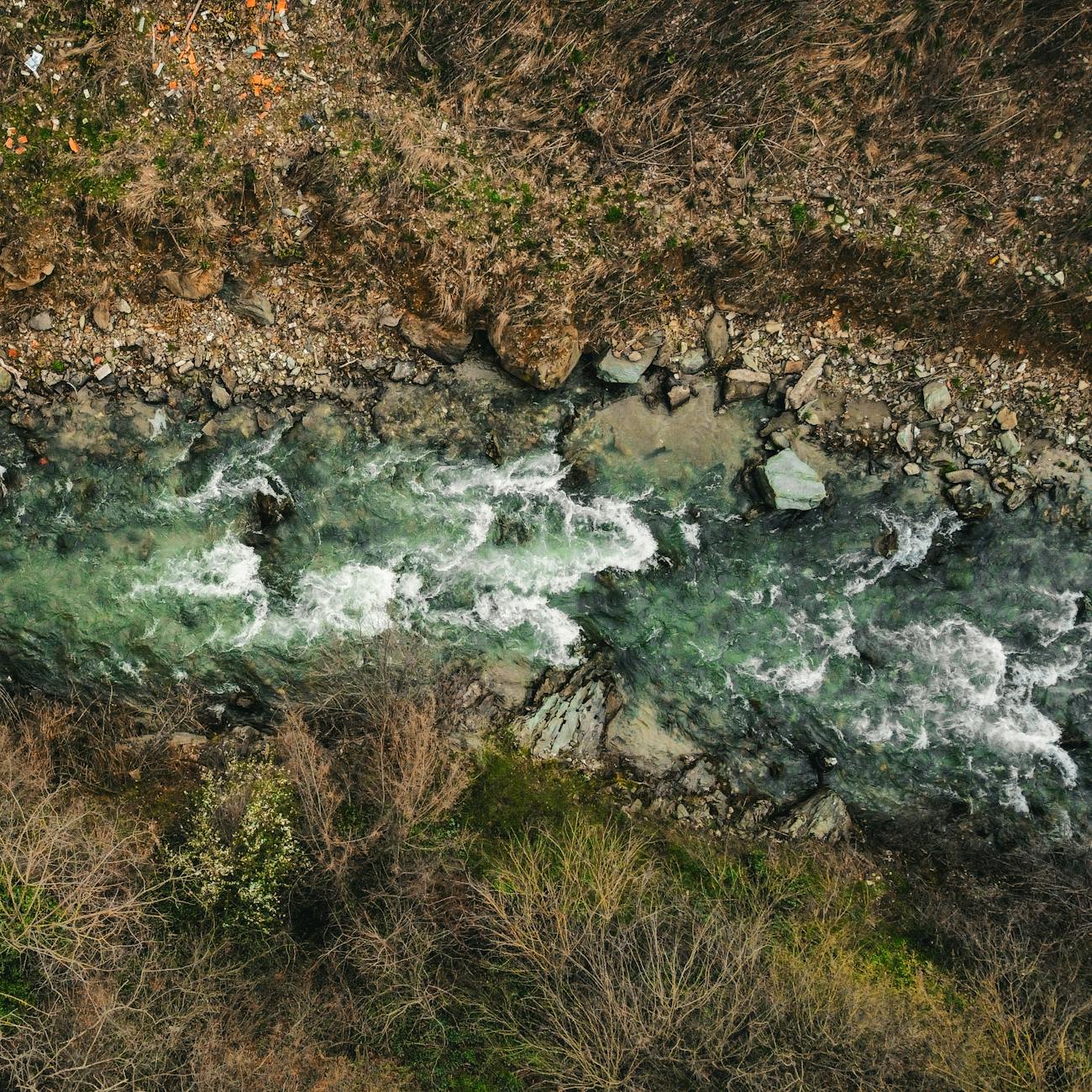 Environmental Impact of Hydropower  