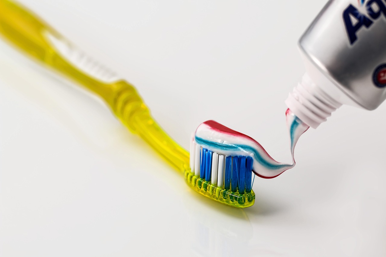 Administering Oral Medications to Wildlife Patients