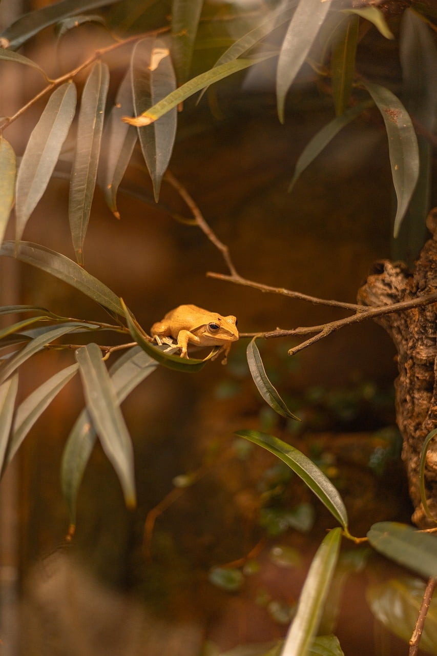 Leukemias and Lymphomas in Exotic Animals