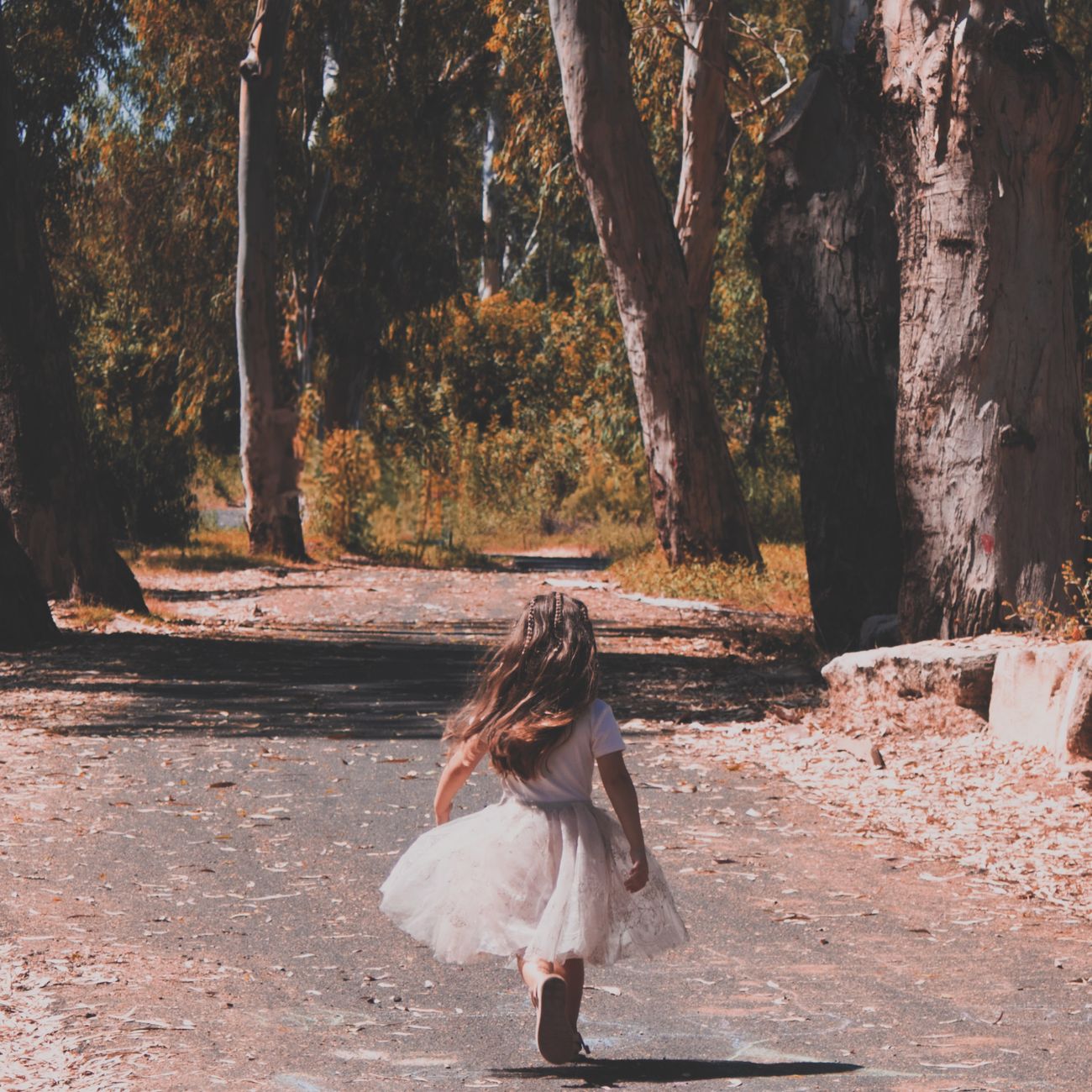 Creative Play and Imagination