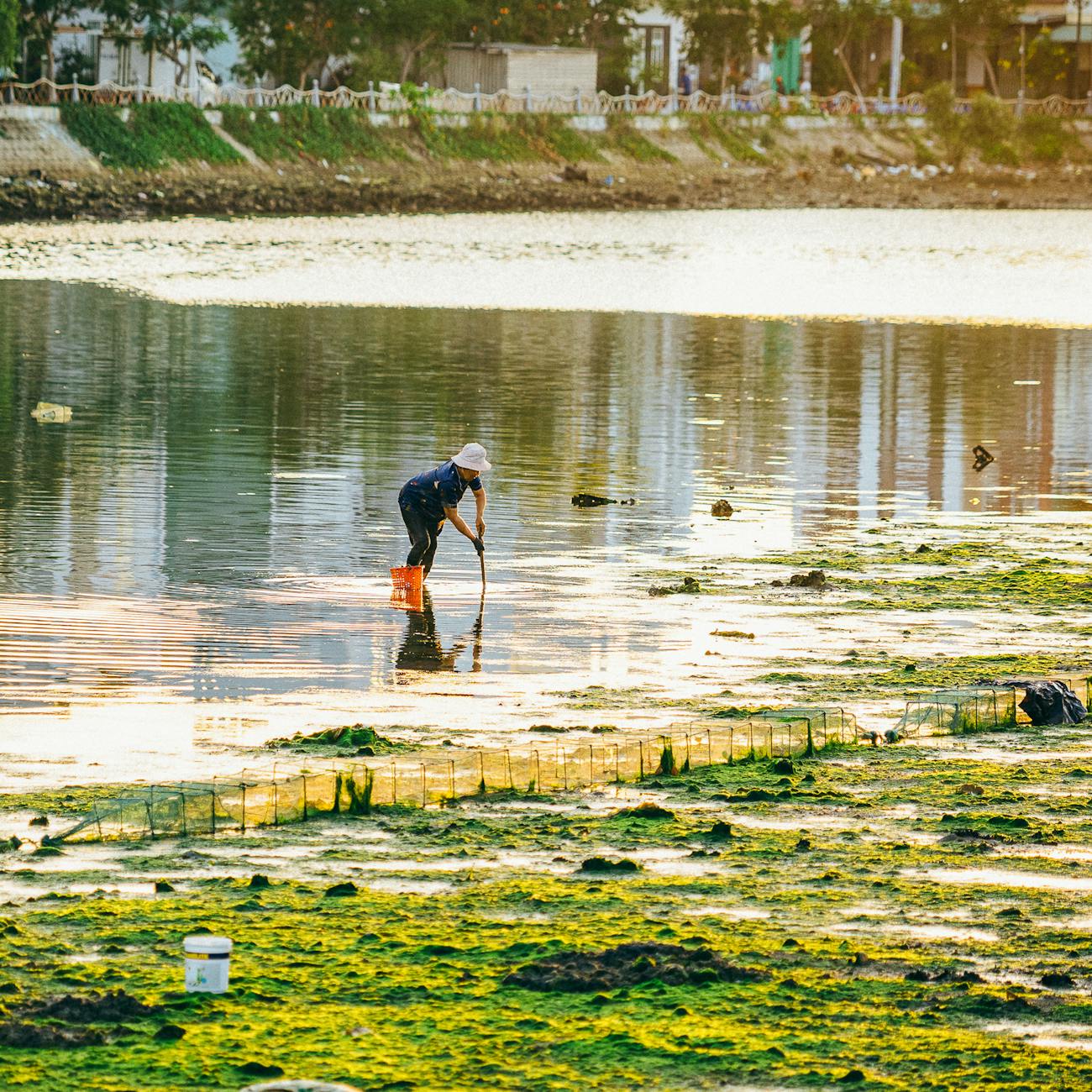 Environmental Risk Assessment