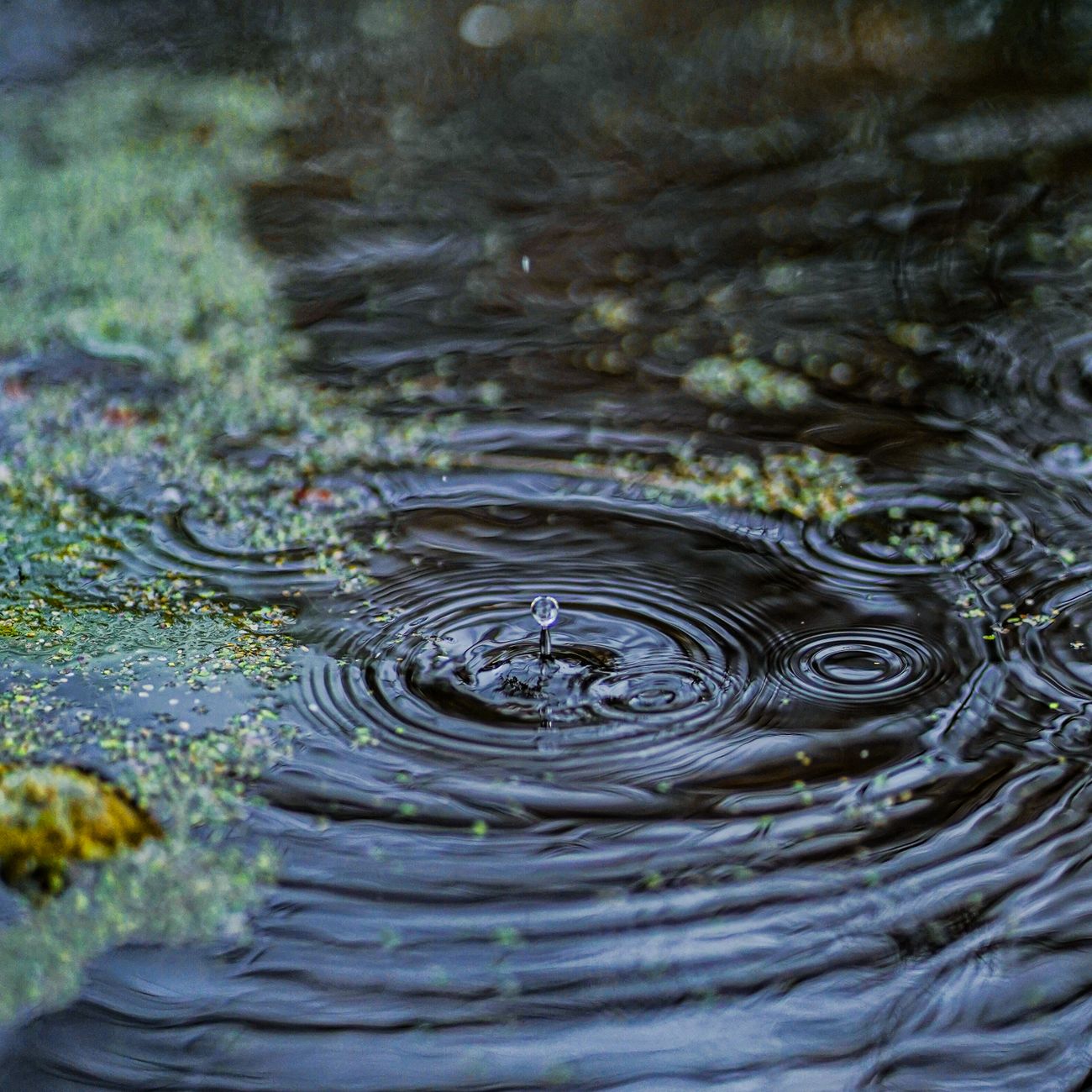 Cybersecurity for IoT in Water Management