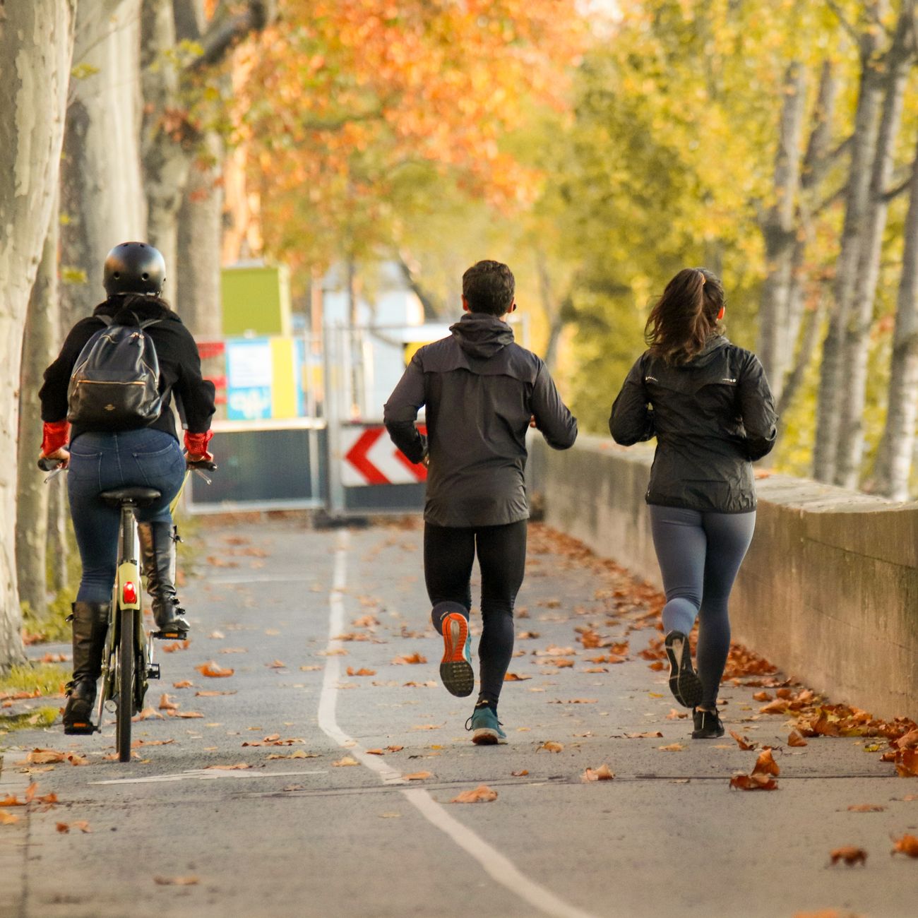 Exercise and Longevity