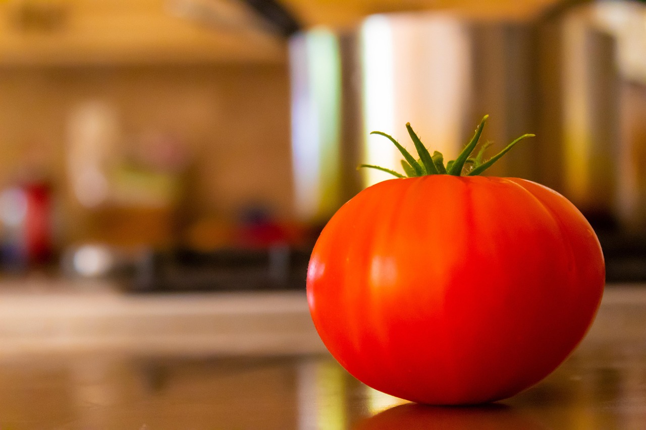Introduction to GMO Auditing