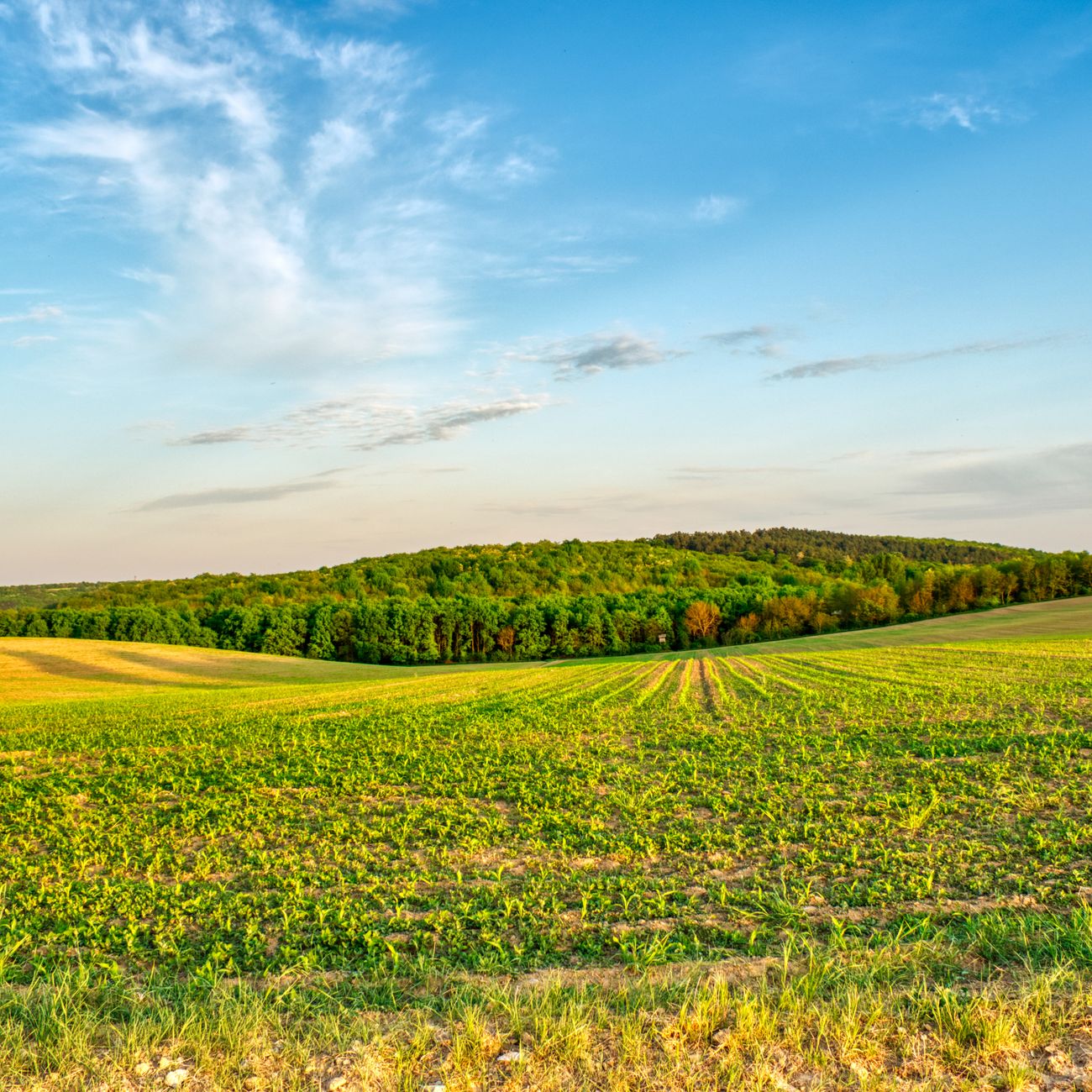 Water Management Systems