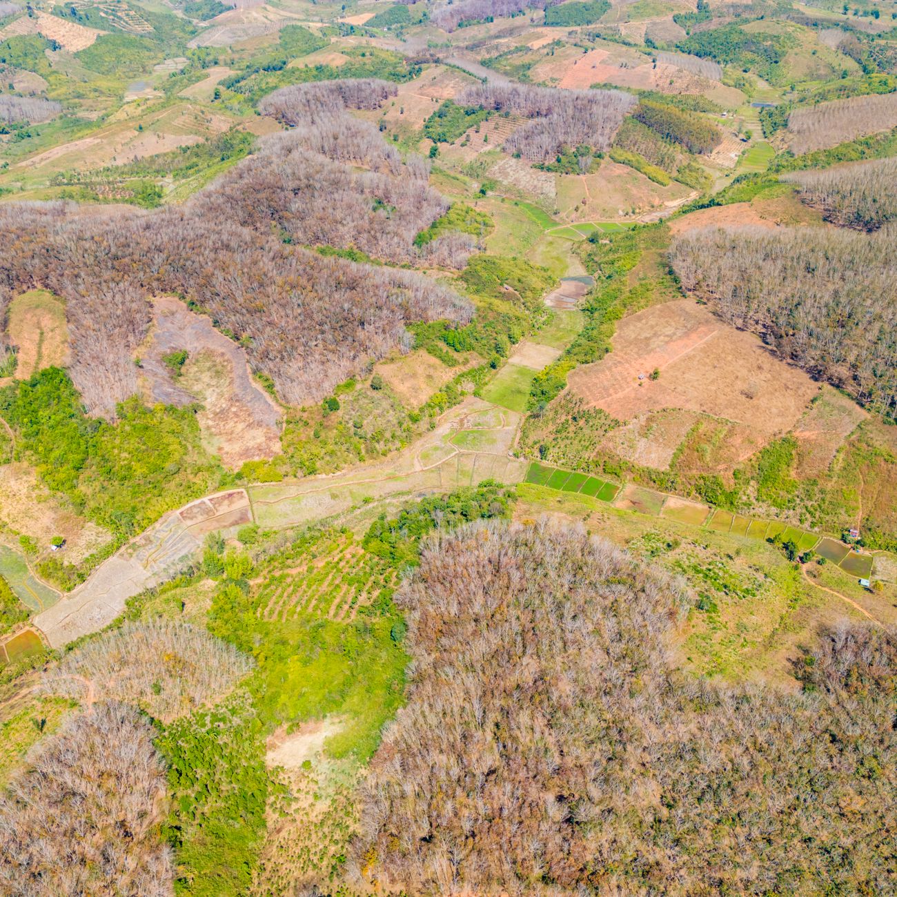 Environmental Impact Assessment