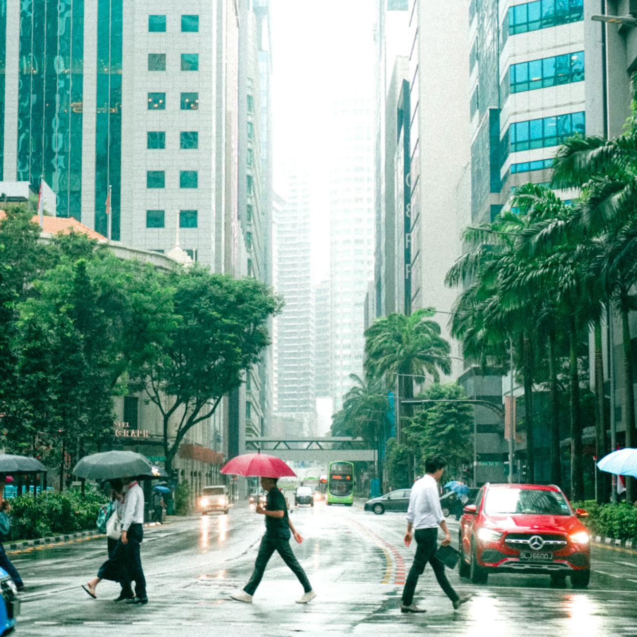 Risk Management in Financial Technology