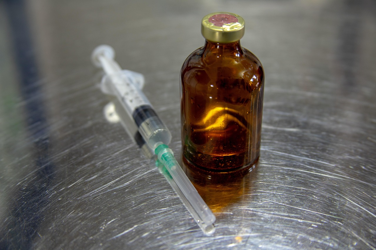 Ethical Dilemmas in Veterinary Care