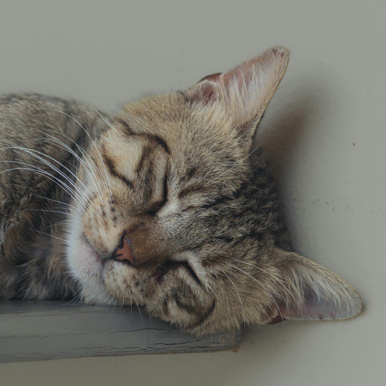 Sleep Optimization