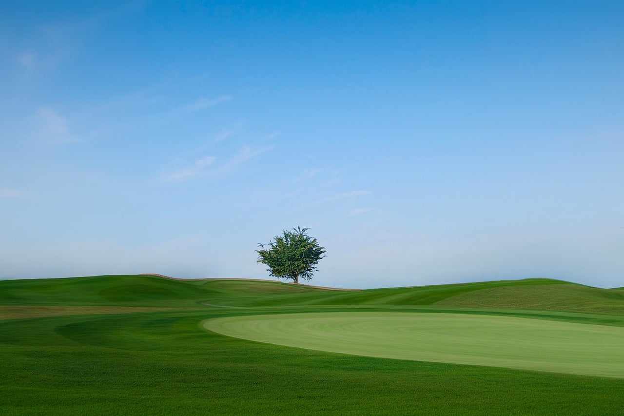 Risk Management in Golf