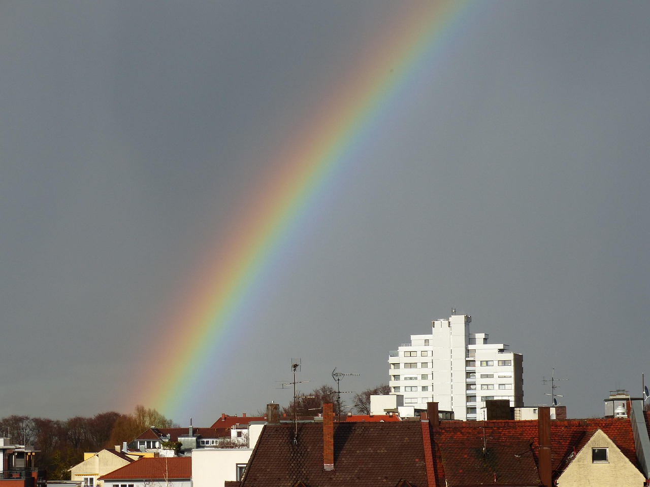 Color Doppler and Spectral Doppler