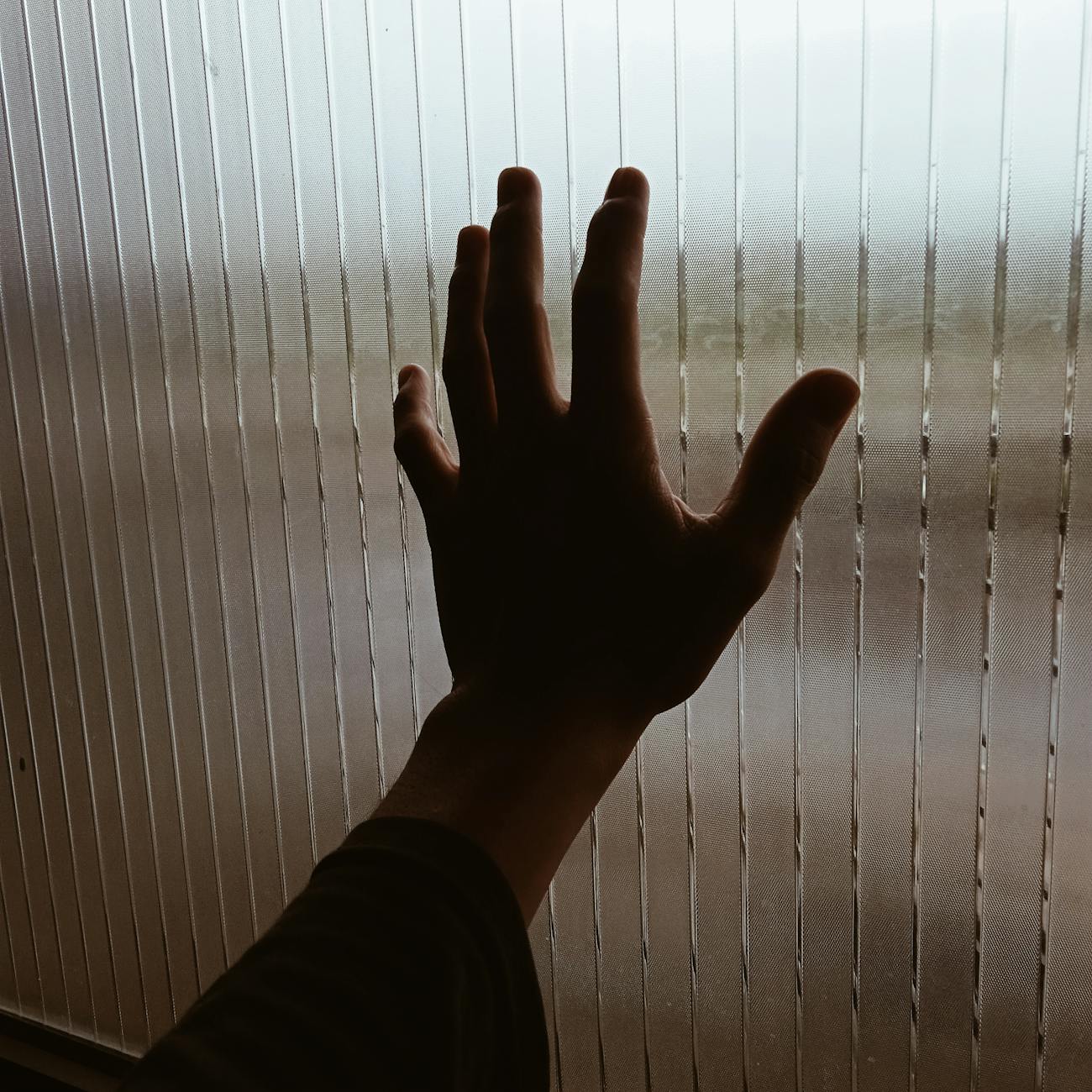 Sensory Processing and Regulation